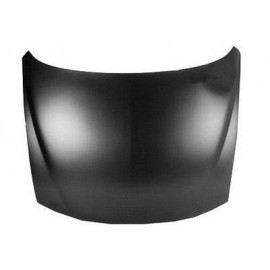 Hood panel assy
