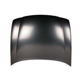 Hood panel assy