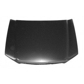 Hood panel assy