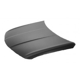 Hood panel assy