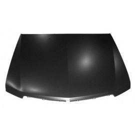 Hood panel assy