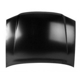 Hood panel assy