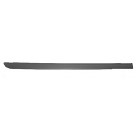 RT Rear door side molding